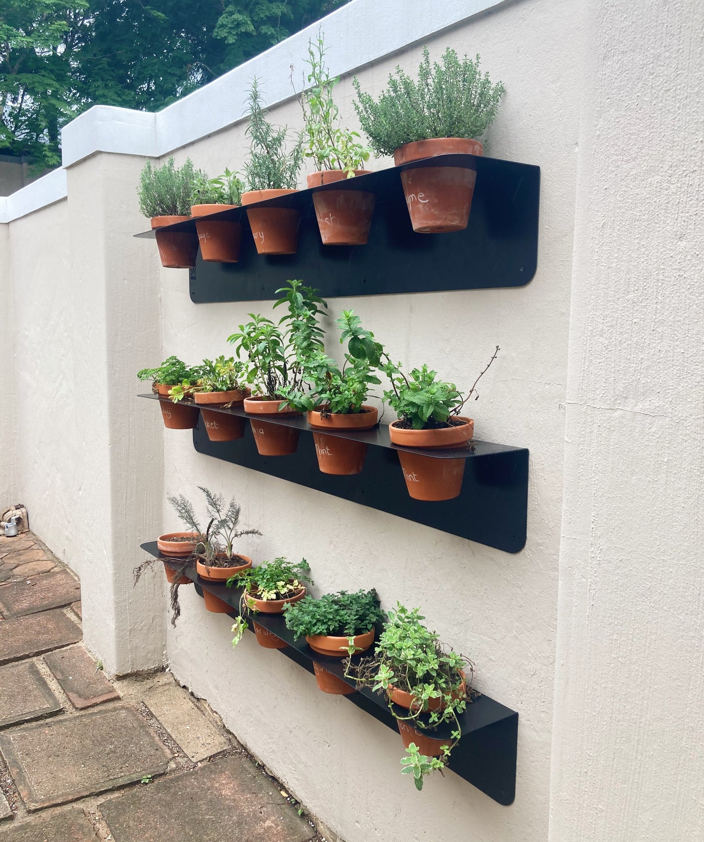 Lima Planter V
