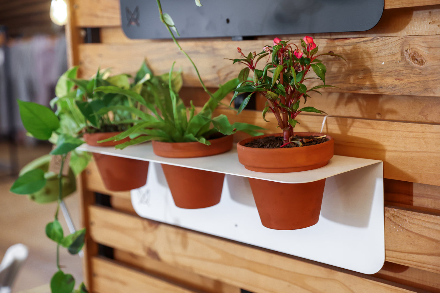 Lima Planter III