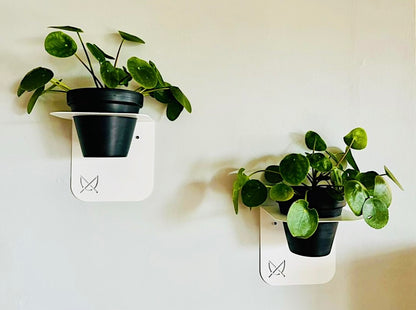 Lima Planter I