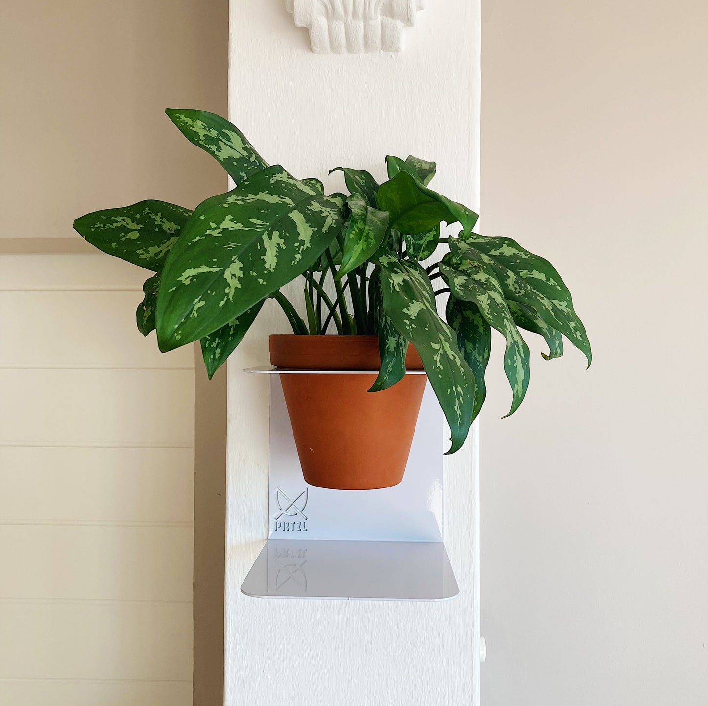 Charlie Planter