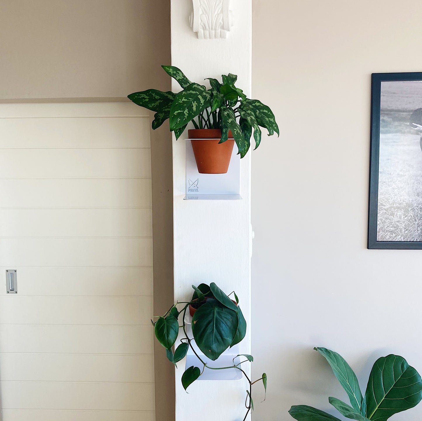 Charlie Planter