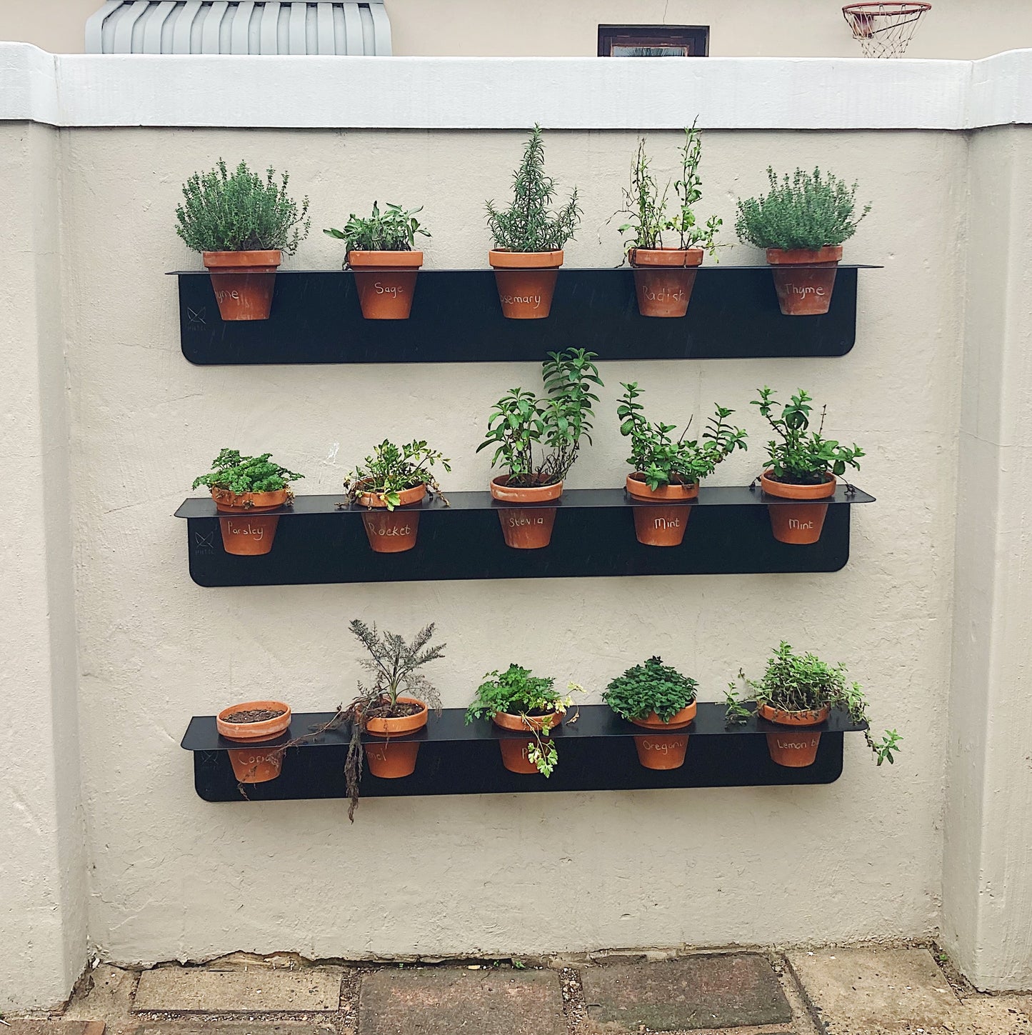 Lima Planter V