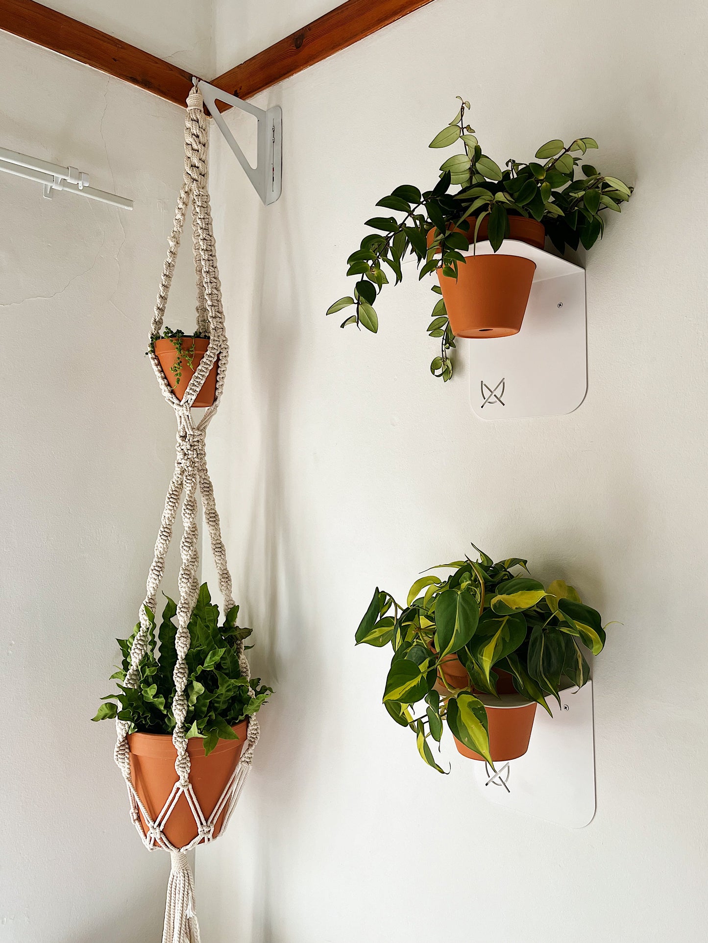 Lima Planter I